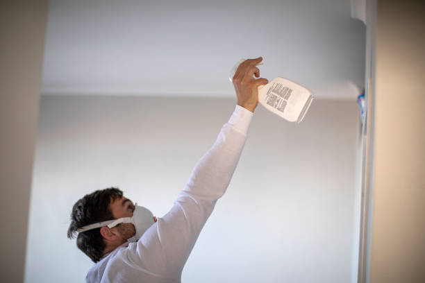 Best Attic Mold Remediation in Hillsdale, MI